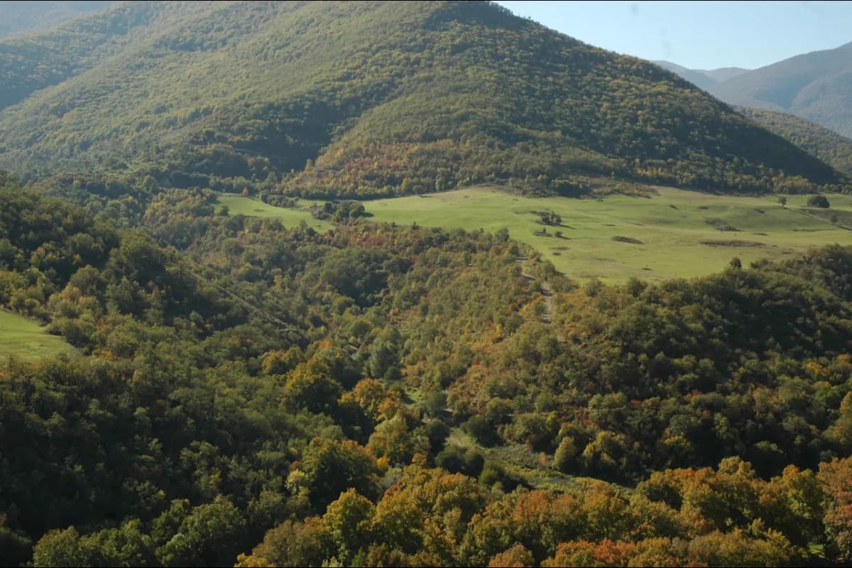 Shikahogh State Reserve