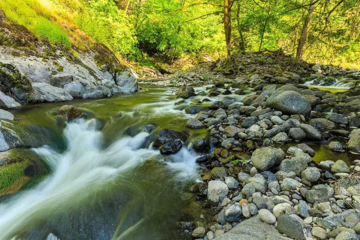 River in Hirkan National Park in Azerbaijan