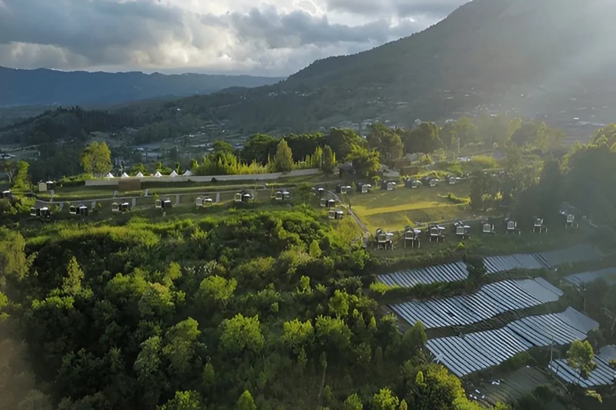Kintamani