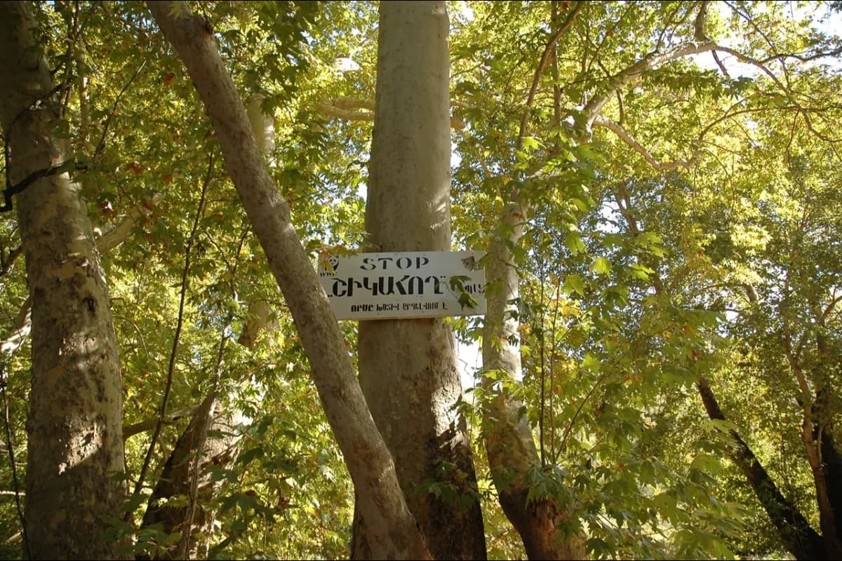 Shikahogh State Reserve