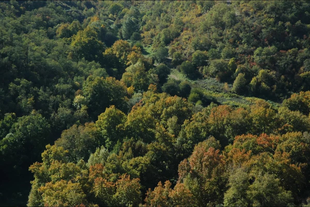 Shikahogh State Reserve